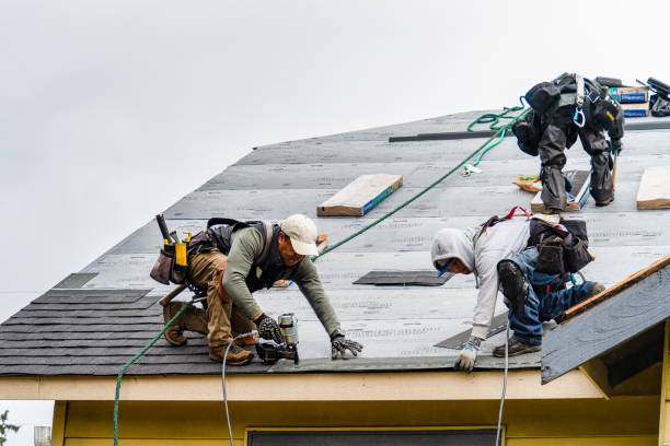 Professional Gutter Installation technician working in Lynd, MN